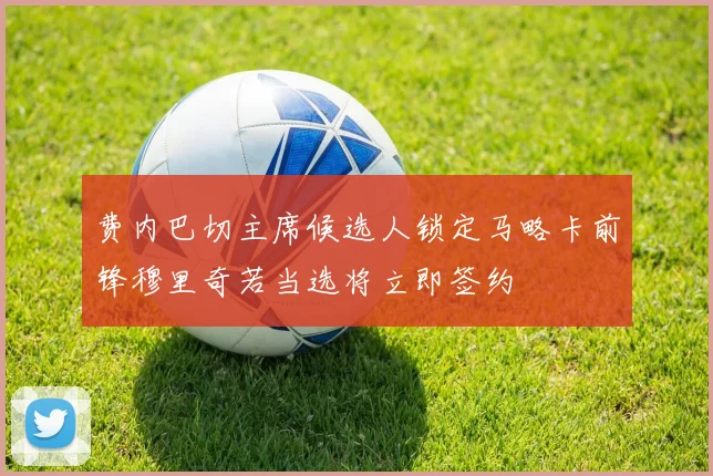 费内巴切主席候选人锁定马略卡前锋穆里奇若当选将立即签约