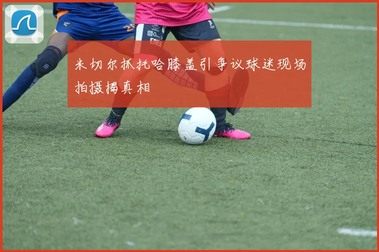 米切尔抓托哈膝盖引争议球迷现场拍摄揭真相